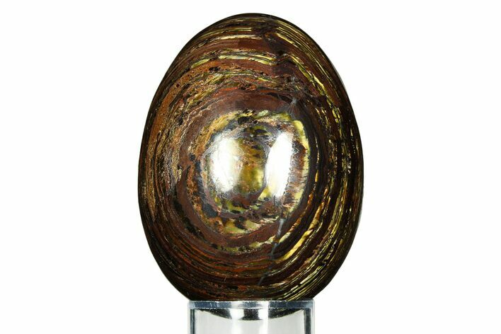 Polished Tiger Iron Stromatolite Egg - Billion Years #308715